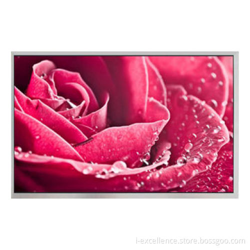 10.1-inch TFT LCD display module, 1024*600 Dot Matrix